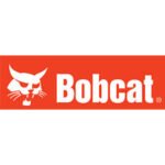 bobcat